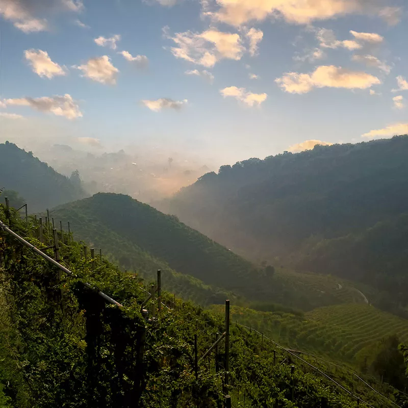 colline conegliano valdobbiadene prosecco superiore