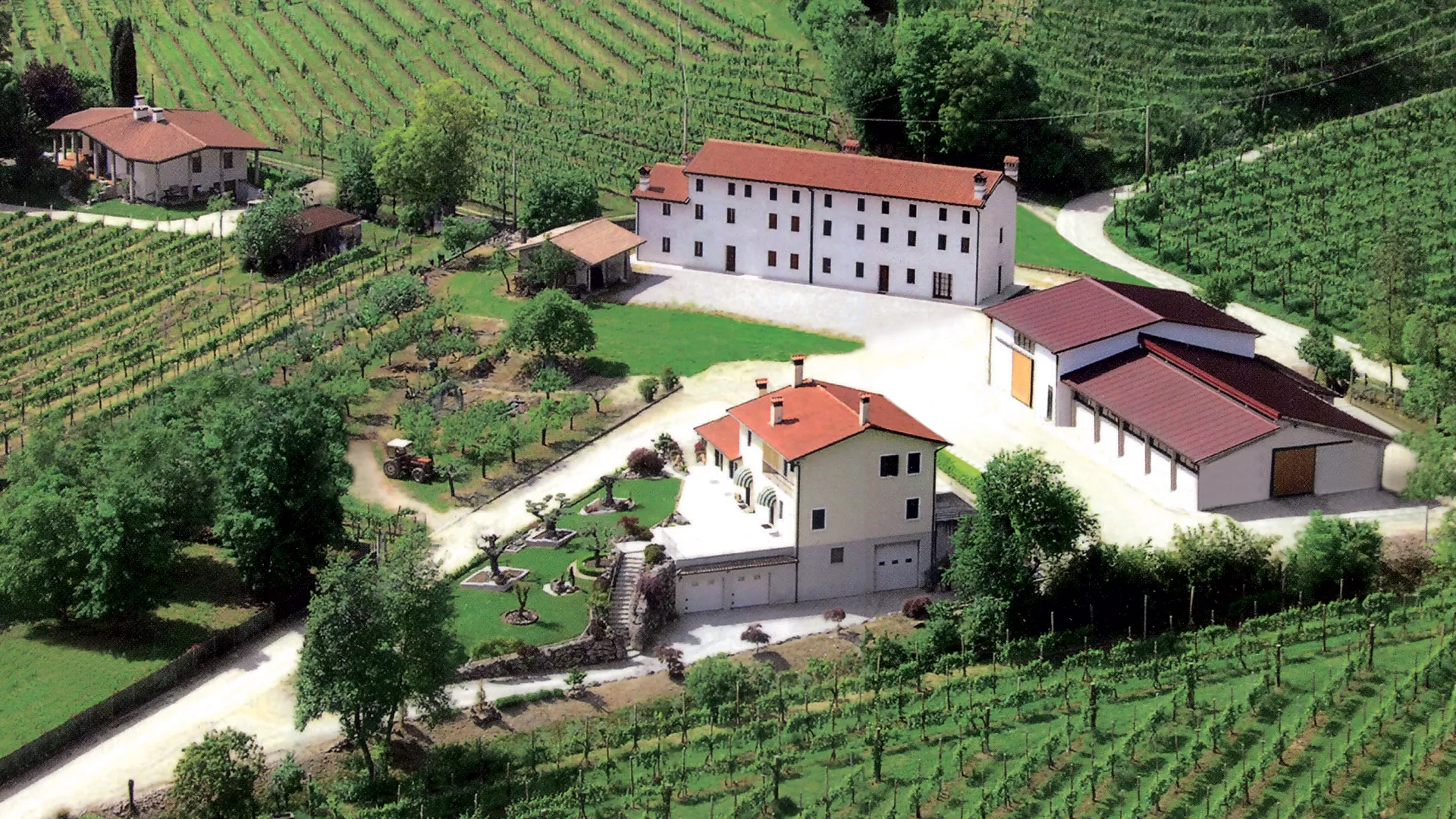 benvenuti nella cantina e nei vigneti dell'azienda agricola molinetto di col san martino