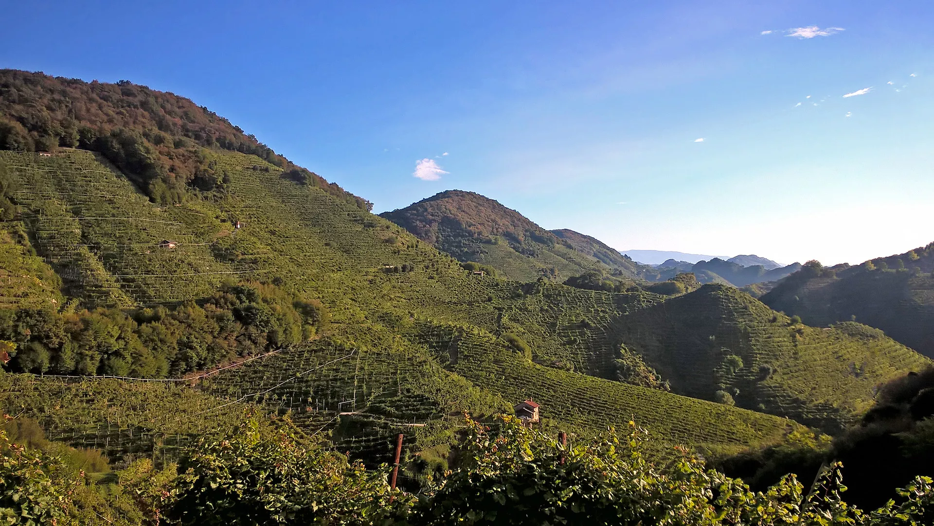 Azienda Agricola al Molinetto - Territorio Unesco