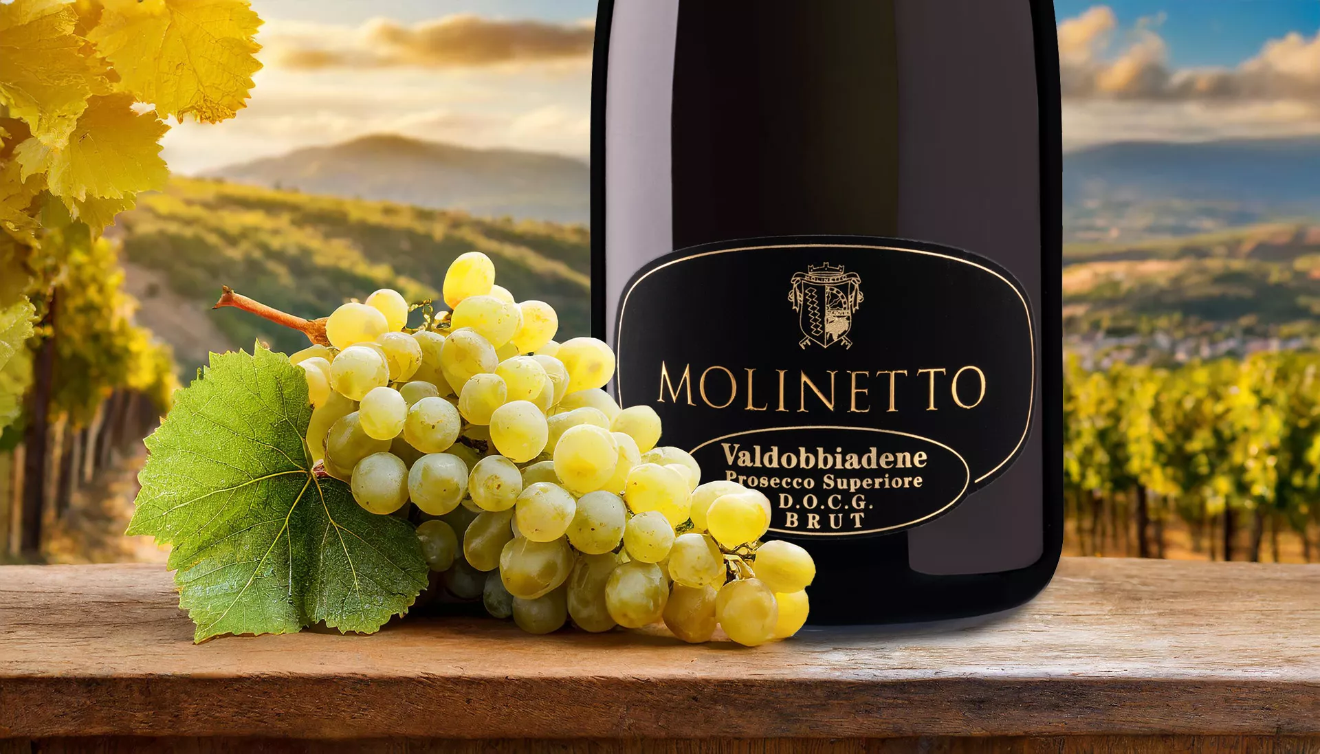 produzione e vendita vino bianco, spumanti e vino frizzante tra le colline del conegliano valdobbiande prosecco superiore DOCG