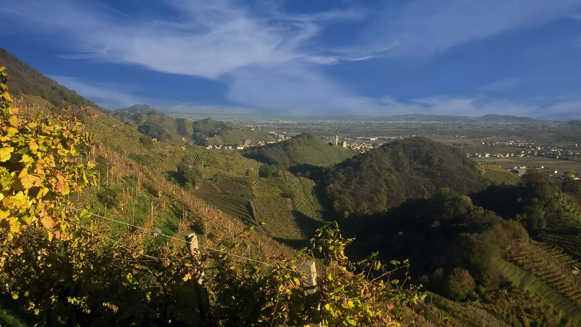 benvenuti nel cuore delle colline del conegliano valdobbiadene prosecco superiore