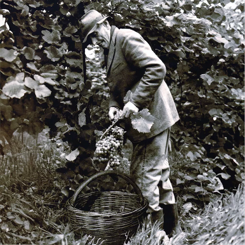Azienda Agricola al Molinetto - Storia tradizione e passione