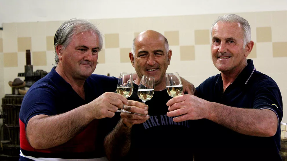 Azienda Agricola al Molinetto - Produzione prosecco DOCG