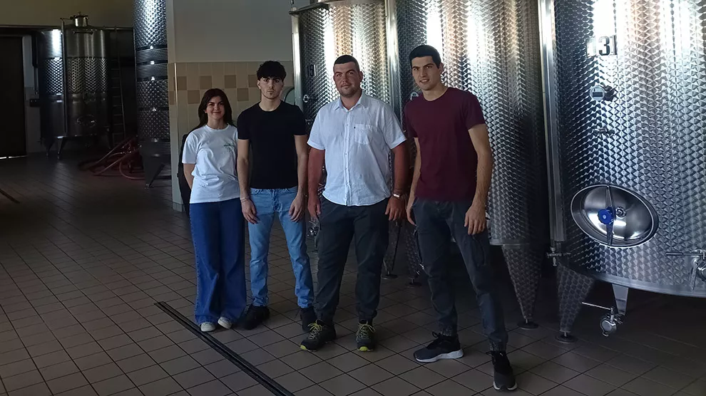 Azienda Agricola al Molinetto - viticultura tra le colline del conegliano valdobbiadene